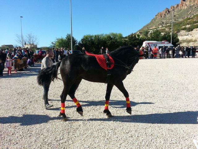 I exhibición de doma de caballos - Villanueva del Río Segura