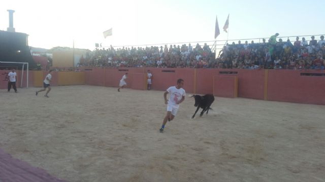 Futbol vaca celebrado en el día de ayer con motivo de las fiestas patronales de Villanueva